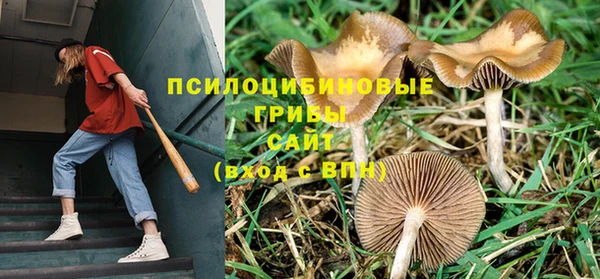герыч Володарск